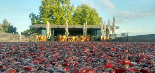 La Terrasse Rouge à Saint-Emilion(33)