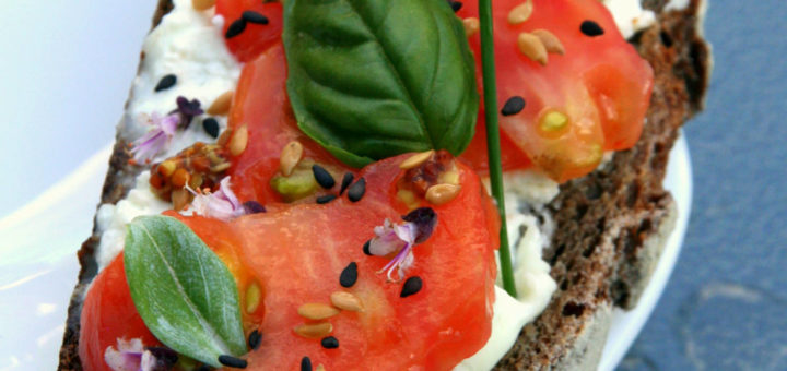 Tartine de brebis à la tomate et aux herbes du jardin