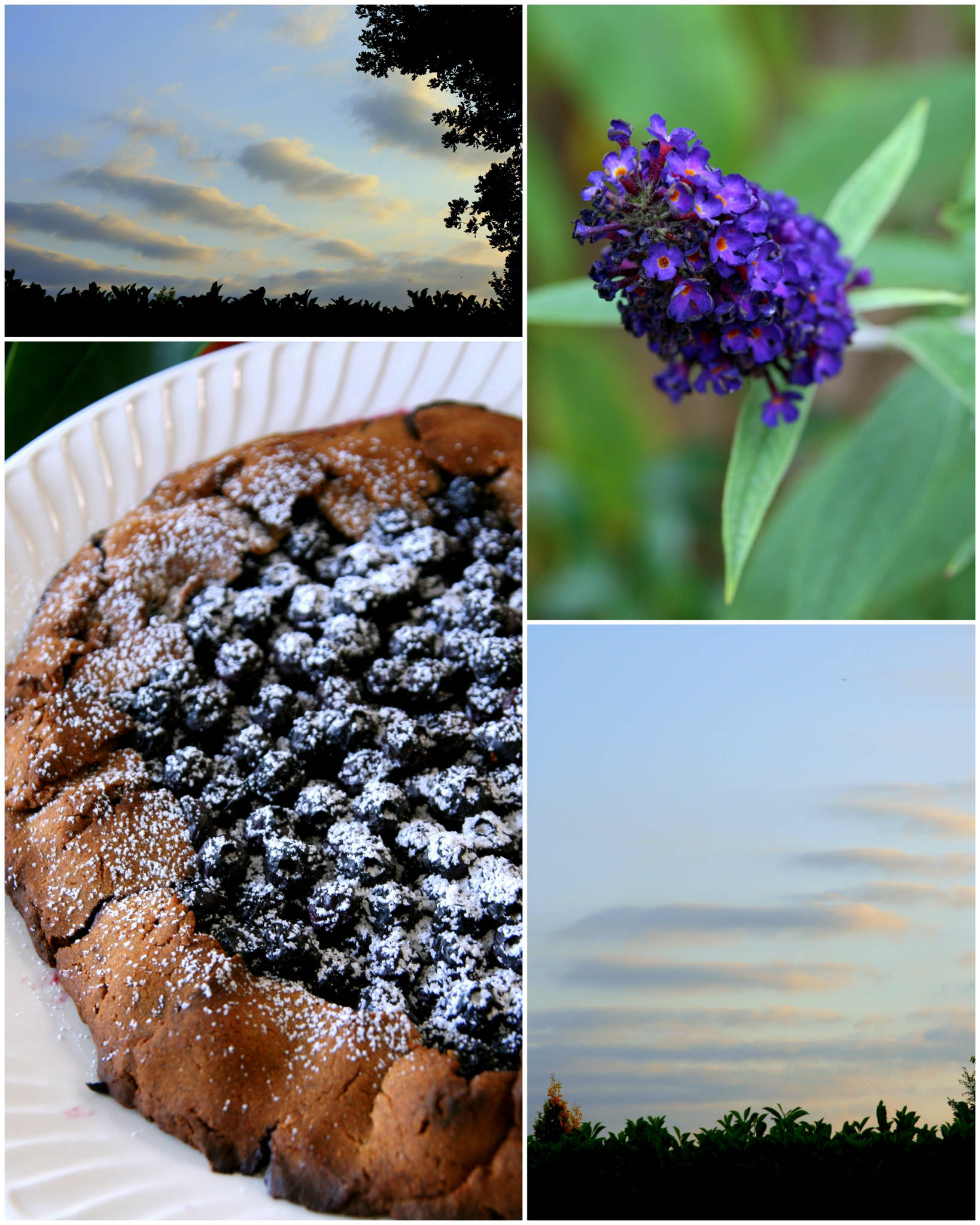 Tarte aux myrtilles et à la farine de châtaignes