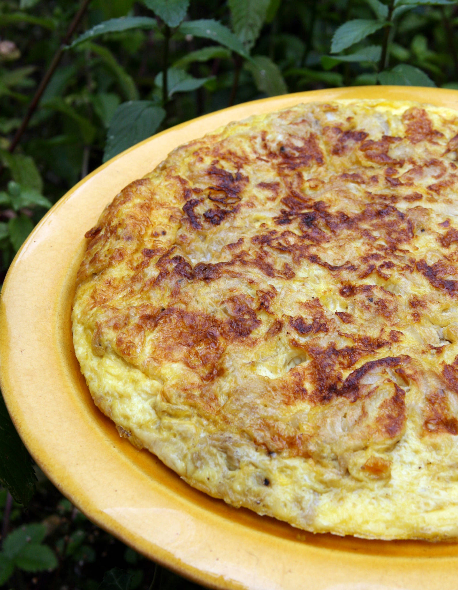 Tortilla aux oignons