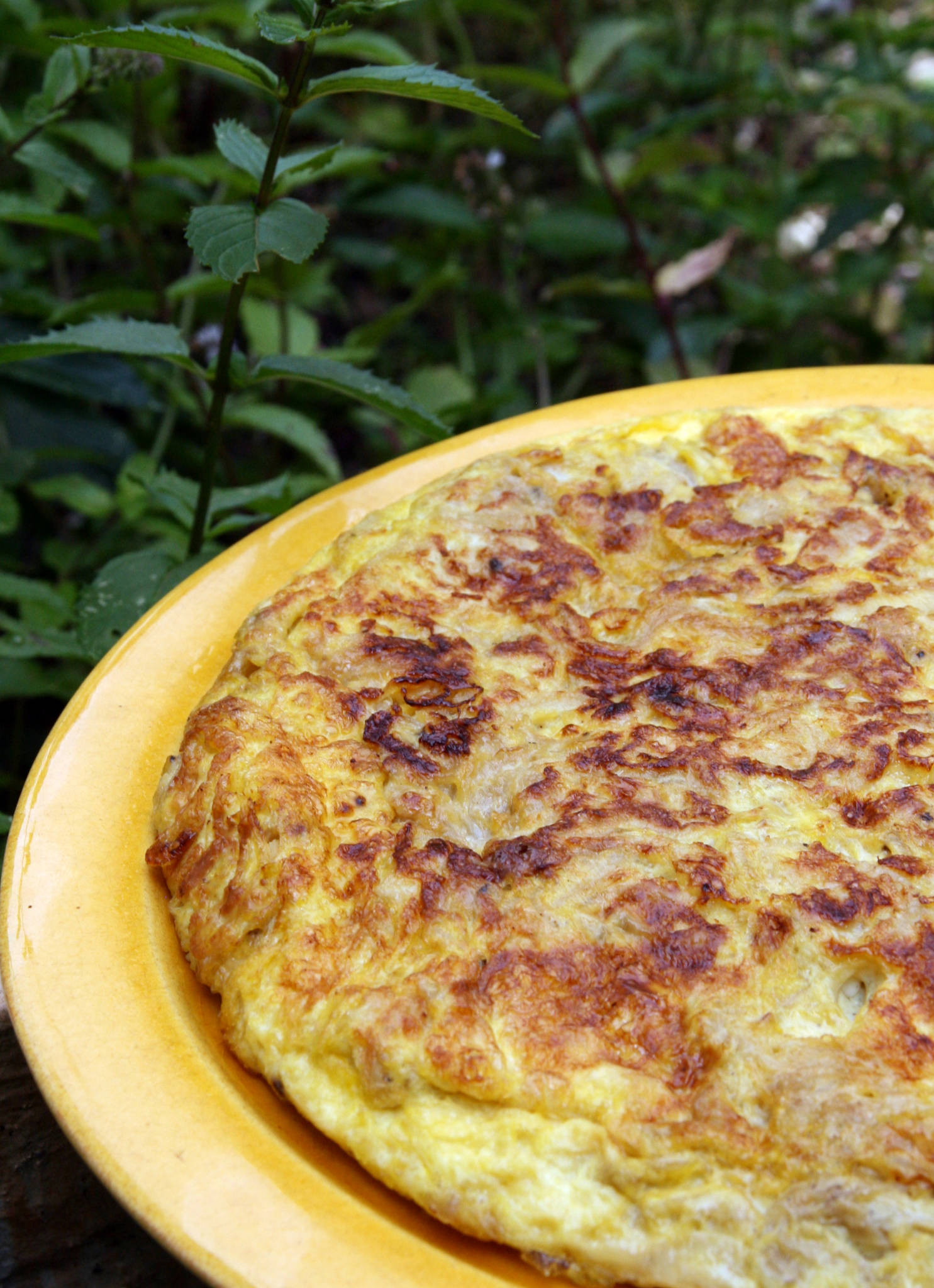 Tortilla aux oignons