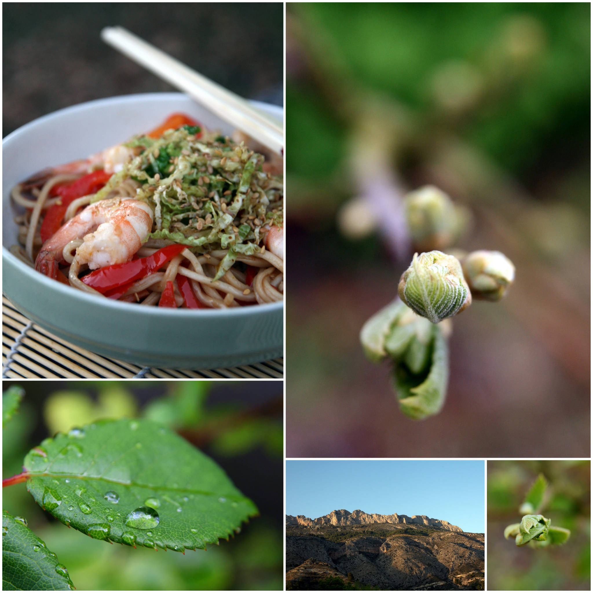 Nouilles sautées aux crevettes et légumes, chou mariné & sésame