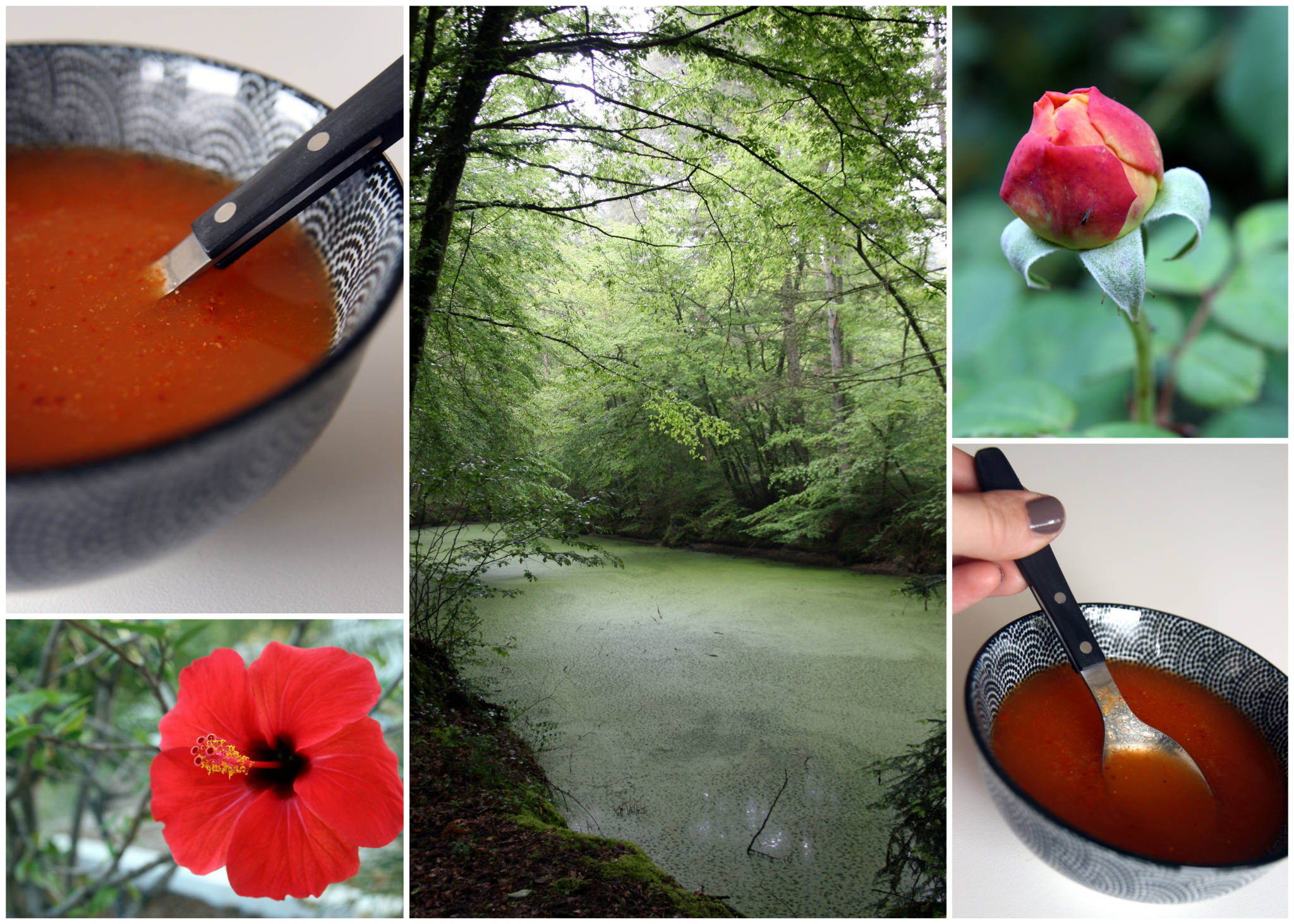 Soupe au poivron rouge