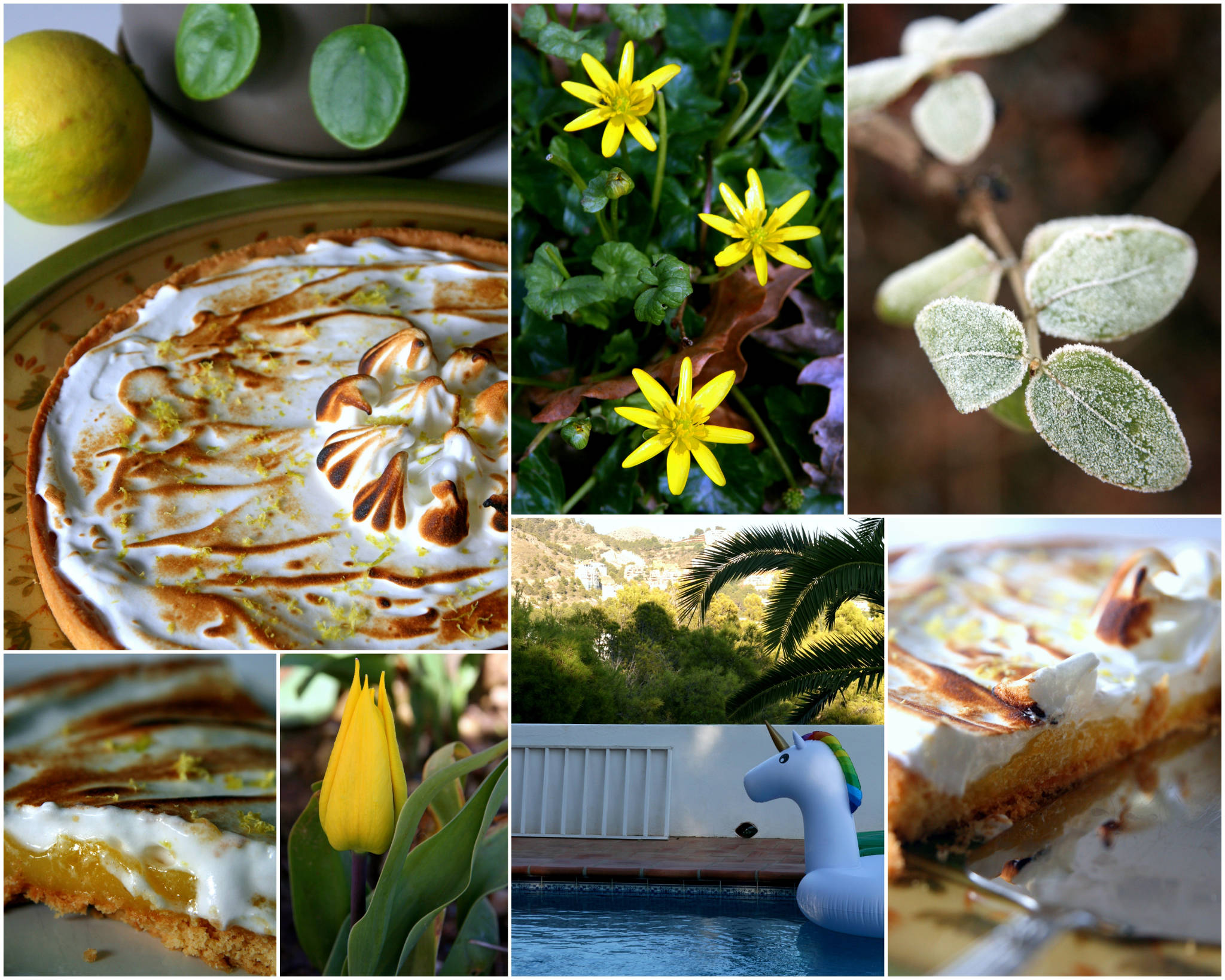 Tarte meringuée au citron bergamote