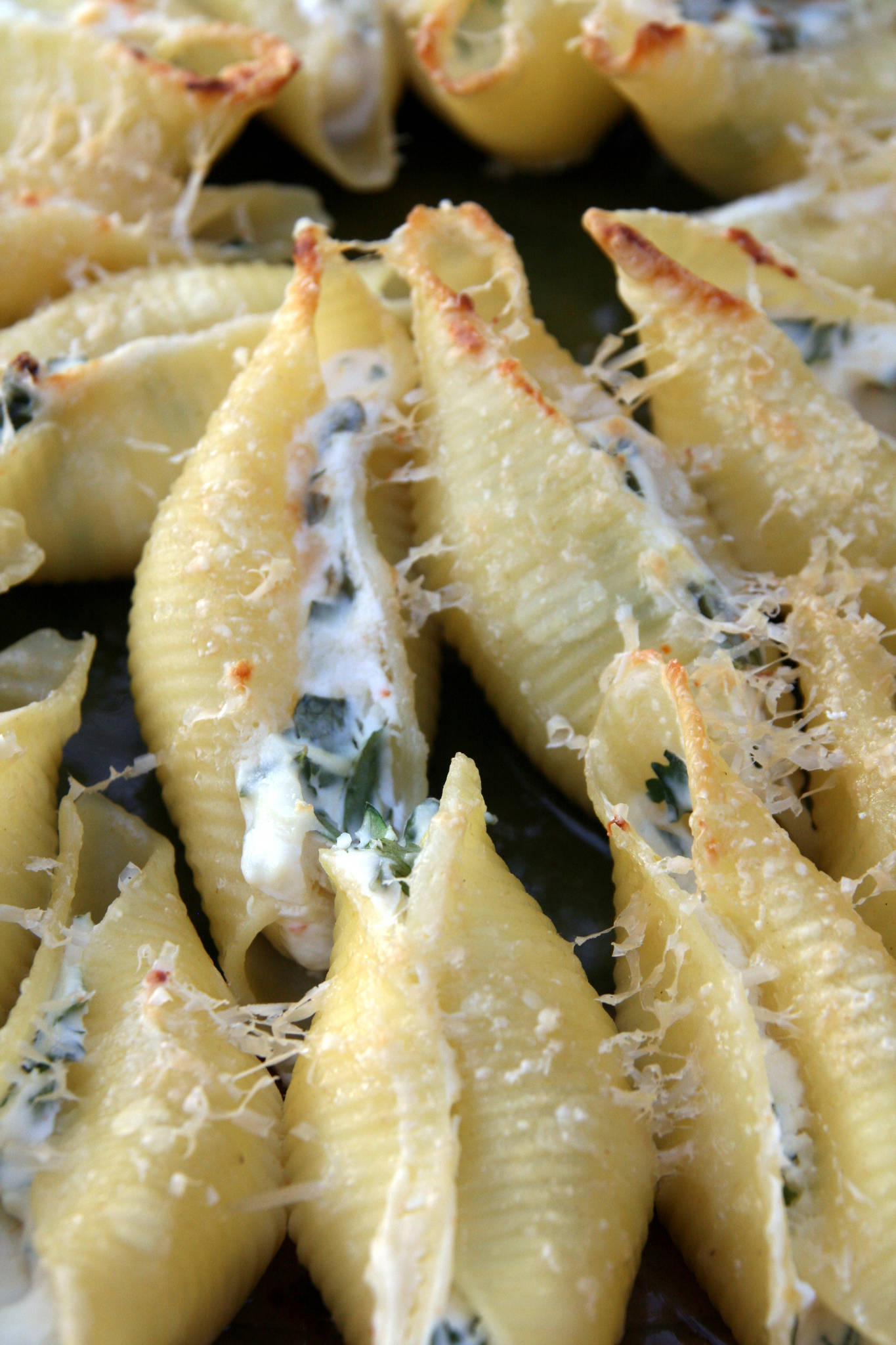 Conchiglie farcis ricotta, citron et persil