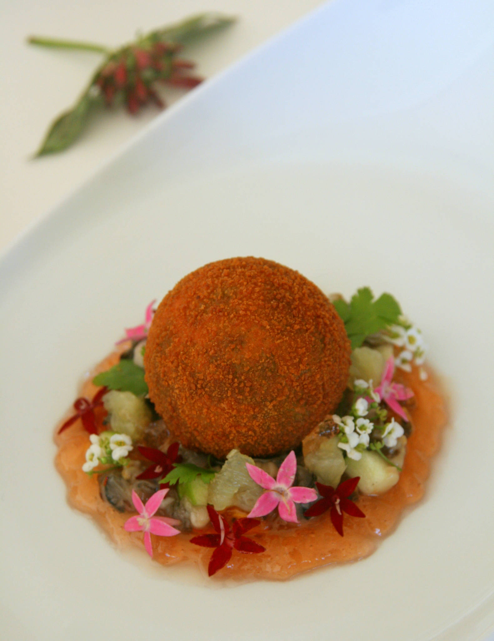 Trouver la perle - Cromesqui de moule à la coriandre sur un tartare d'huîtres et de moules, gelée de pomme à la rose