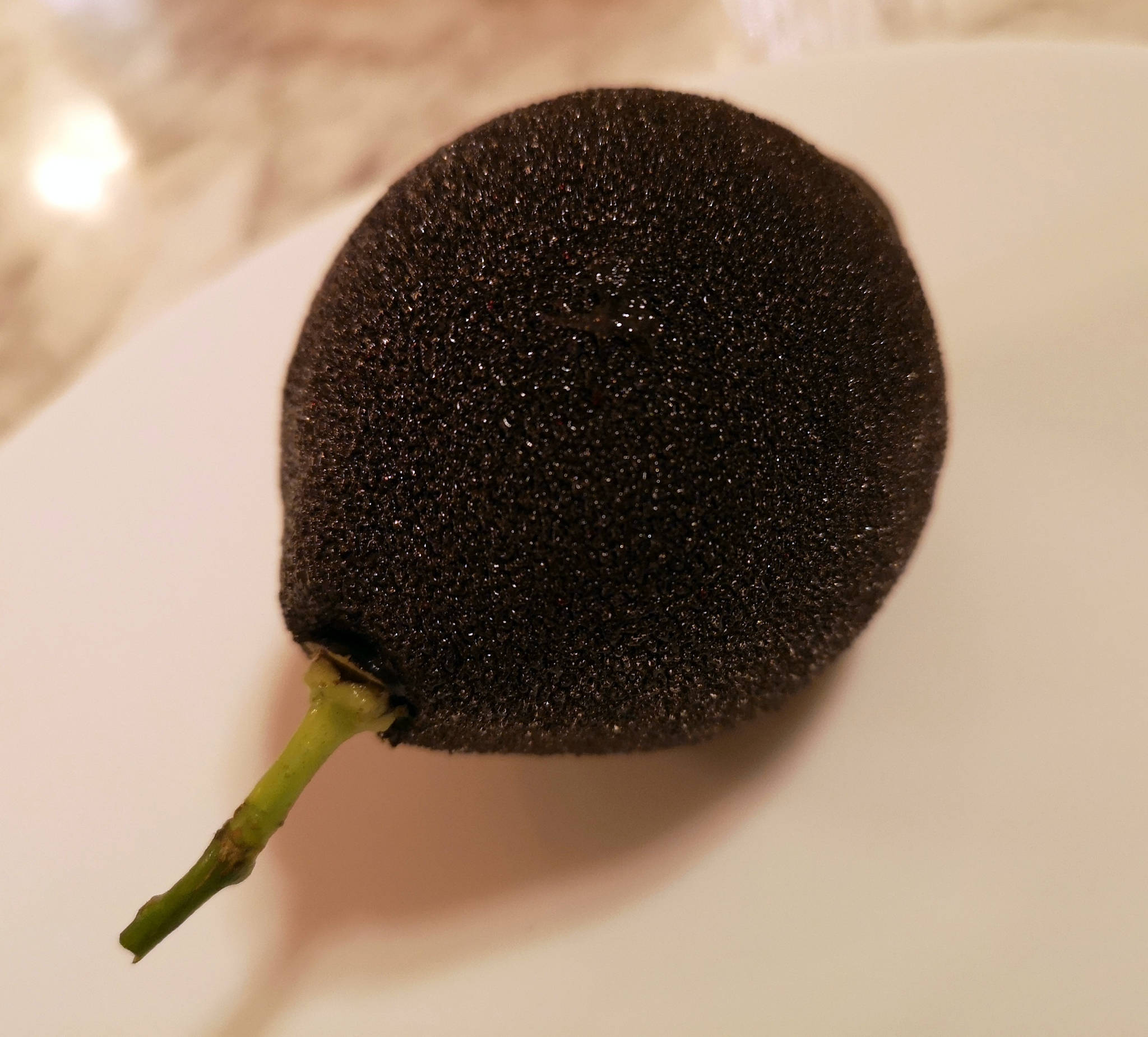 La pâtisserie de Cédric Grolet au Meurice à Paris (75)