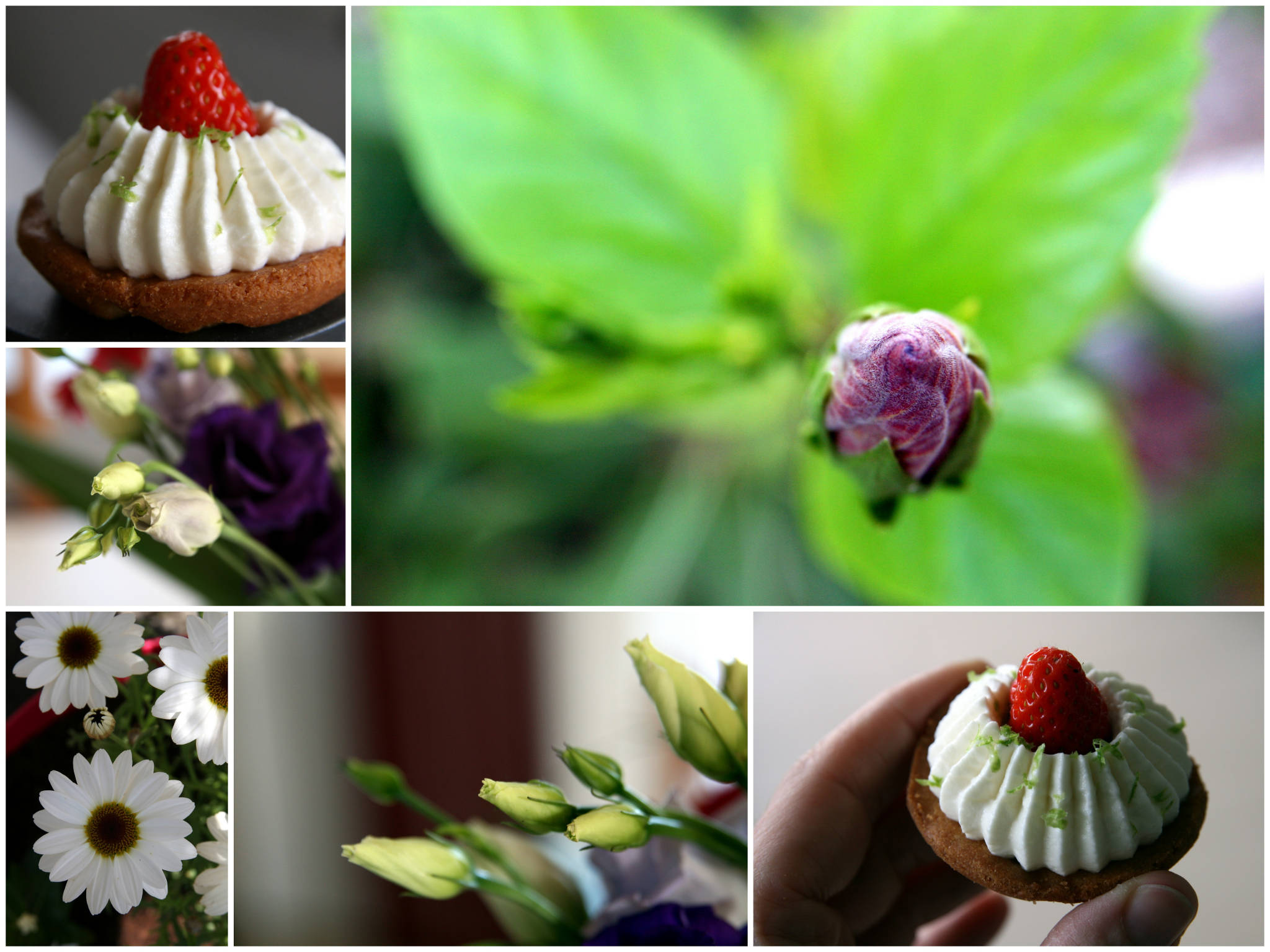 Mini-tartelettes aux fraises, confit de fraises, chantilly mascarpone à la verveine