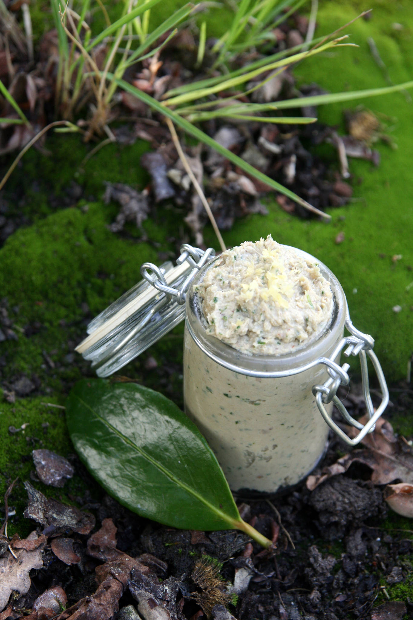 Mousse de maquereau aux noisettes torréfiées, citron & gingembre