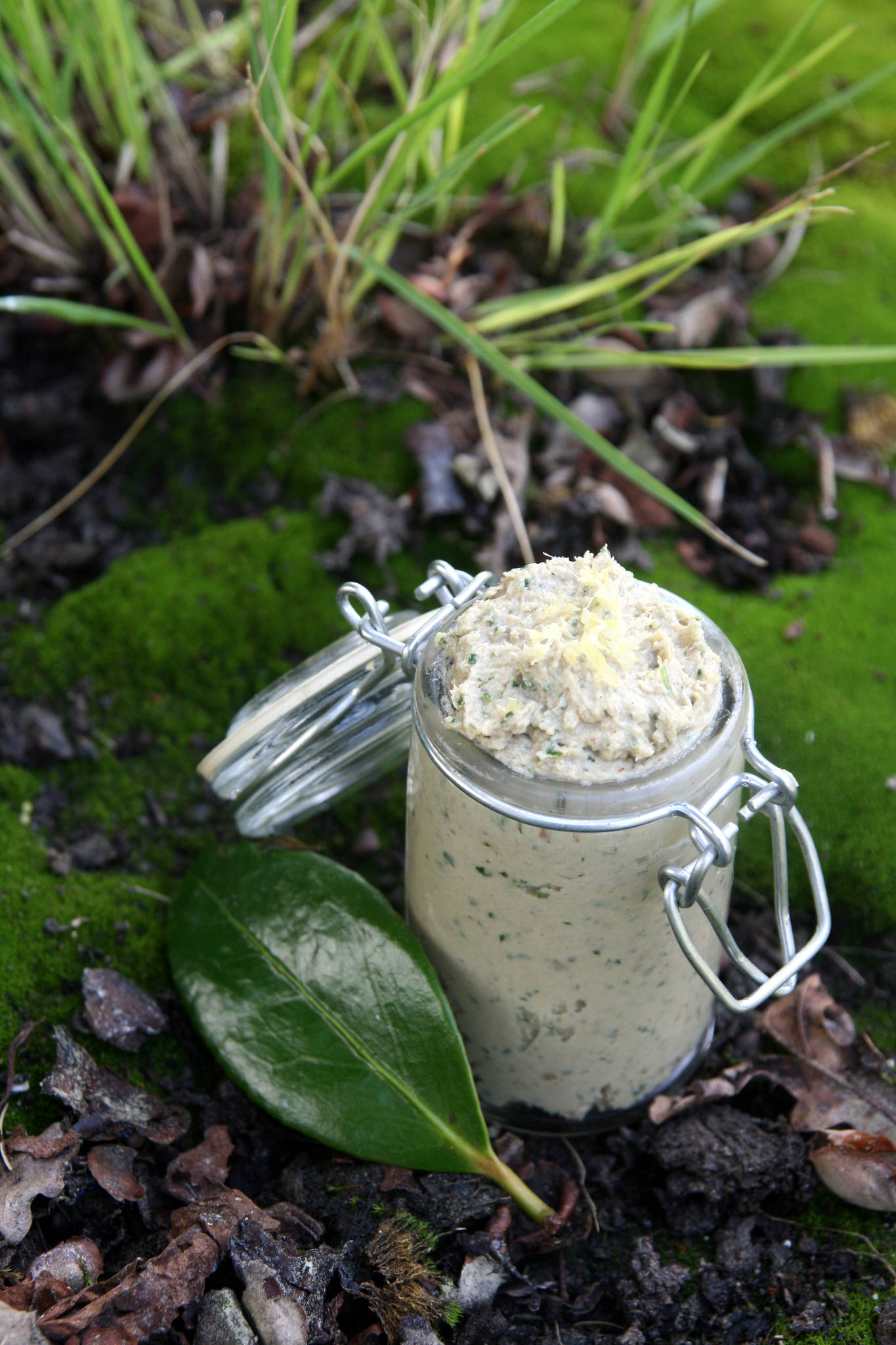 Mousse de maquereau aux noisettes torréfiées, citron & gingembre