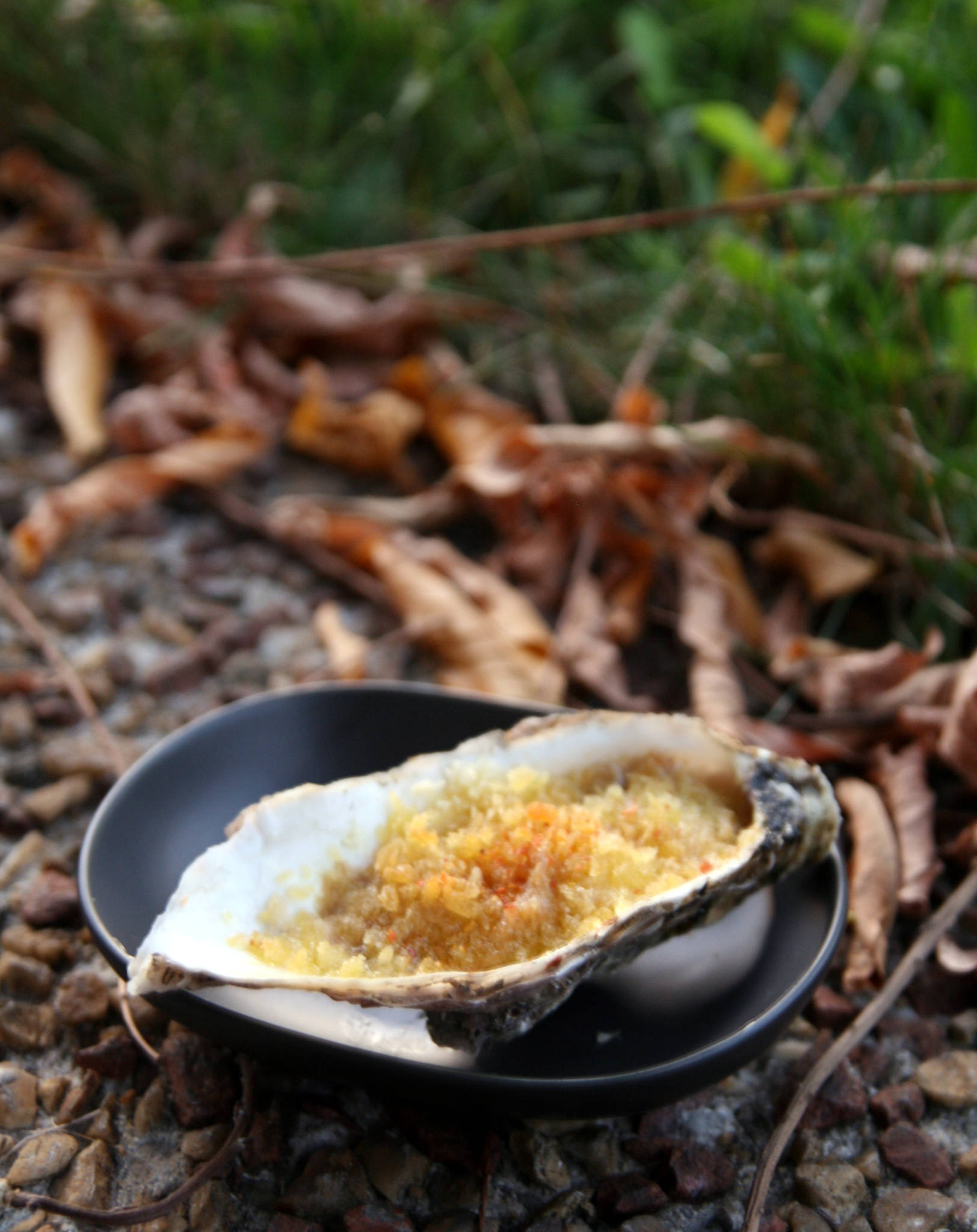 Huîtres gratinées au foie gras