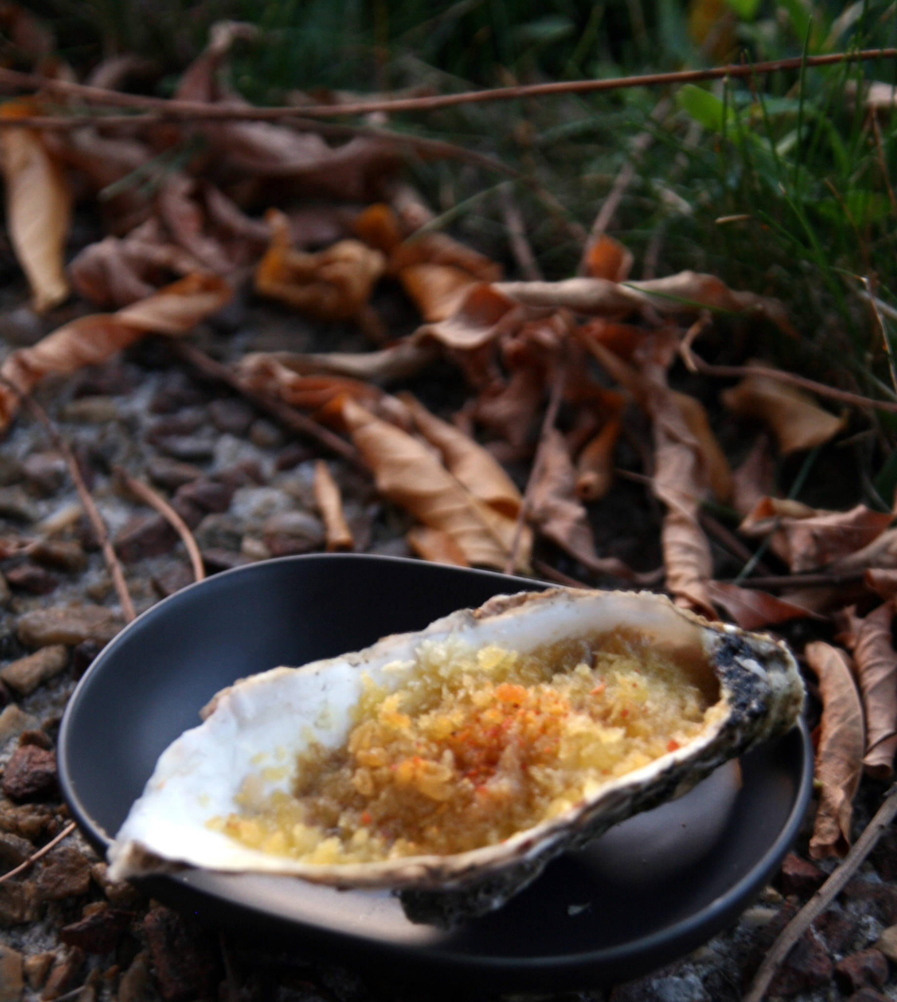 Huîtres gratinées au foie gras