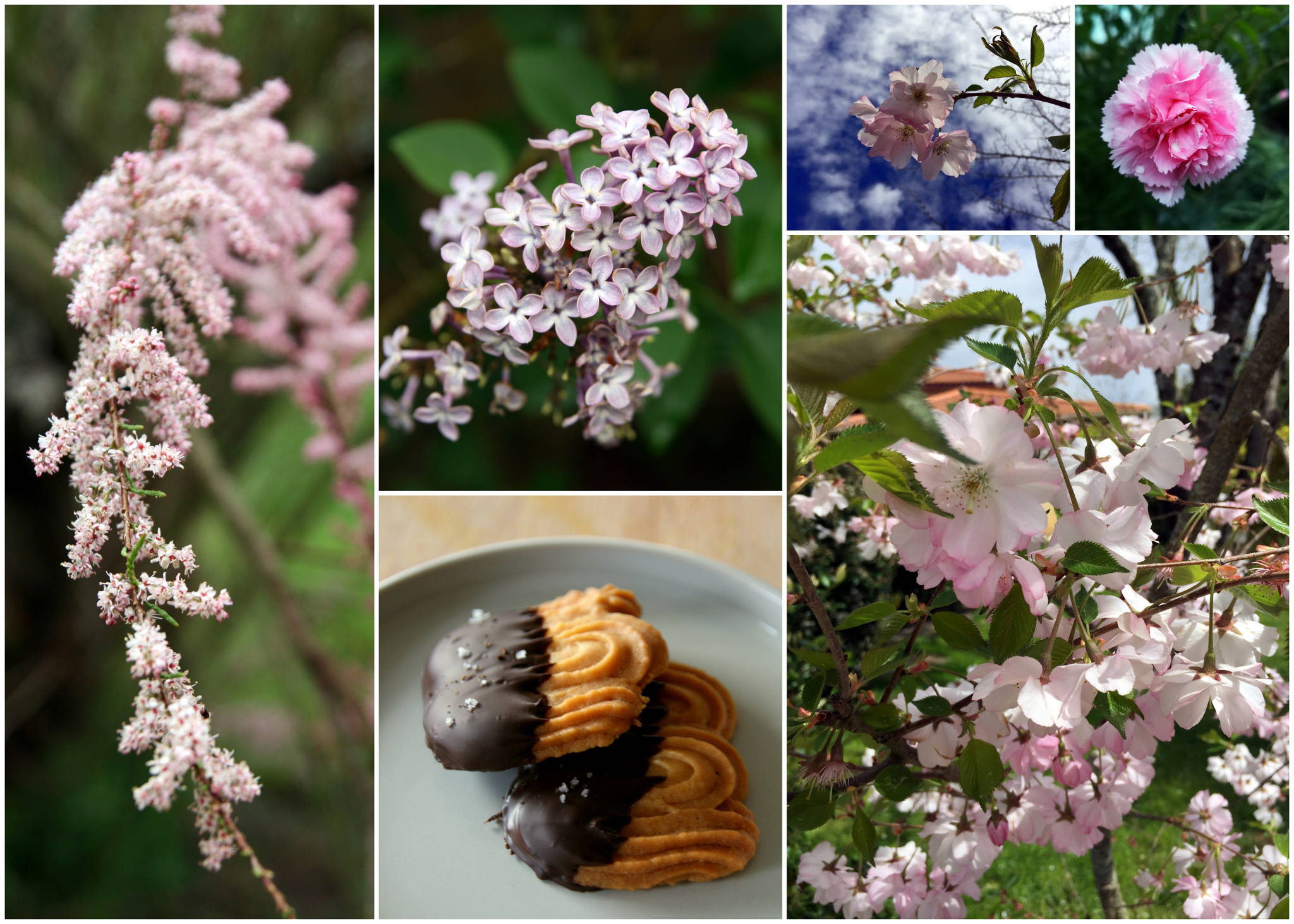 Spritz au chocolat, poivre de Timut et fleur de sel