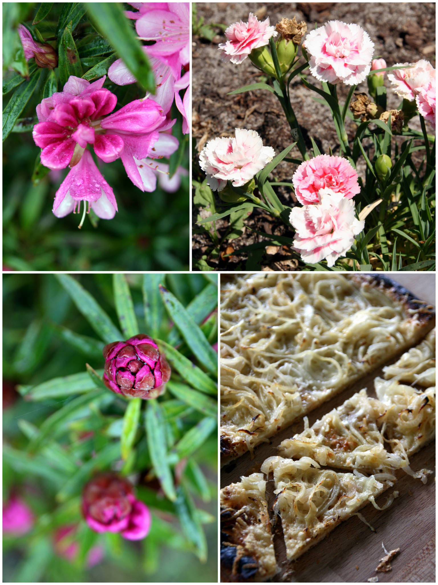 Tarte fine comme une gratinée à l'oignon