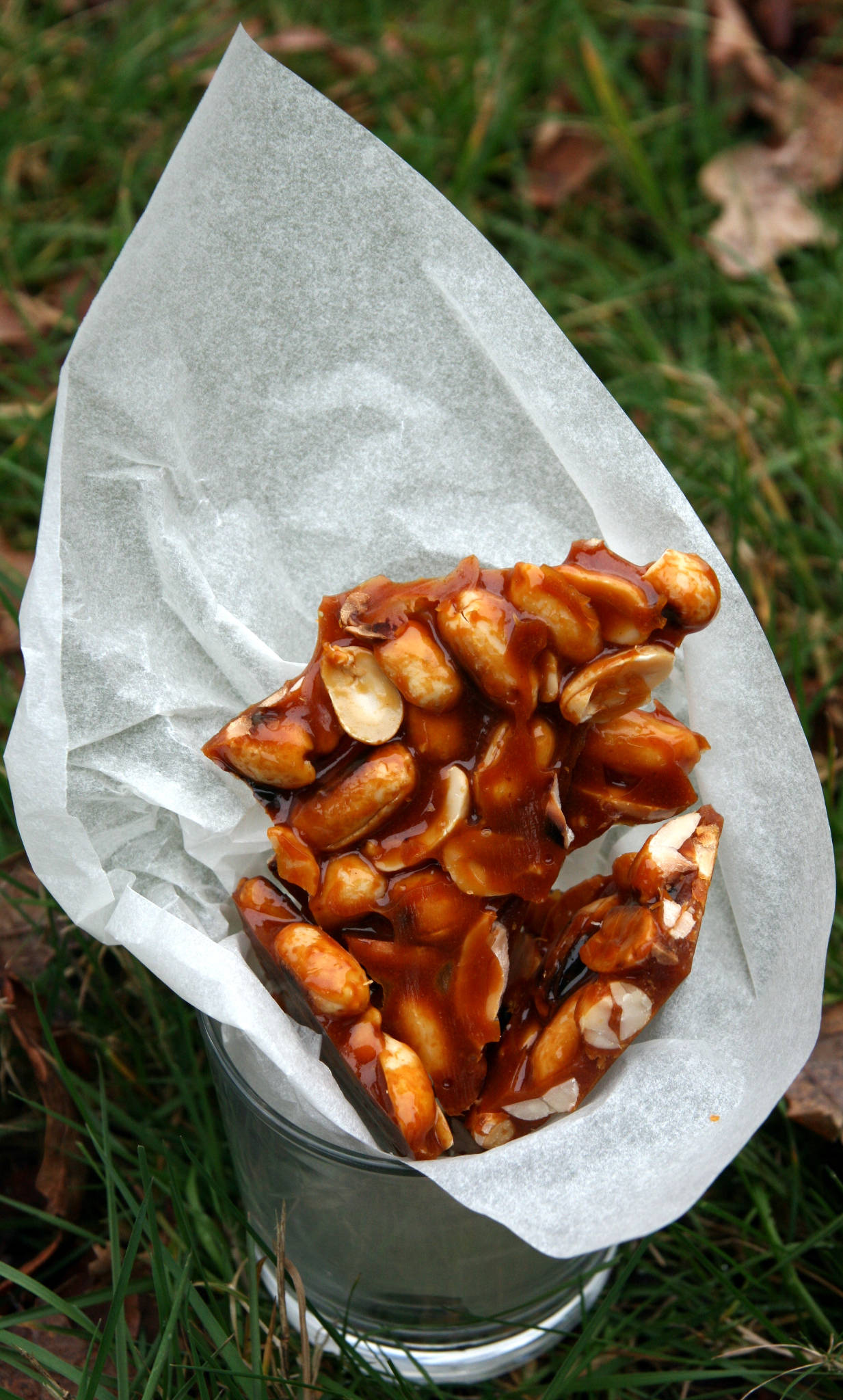 La nougatine aux cacahuètes de Christophe Michalak