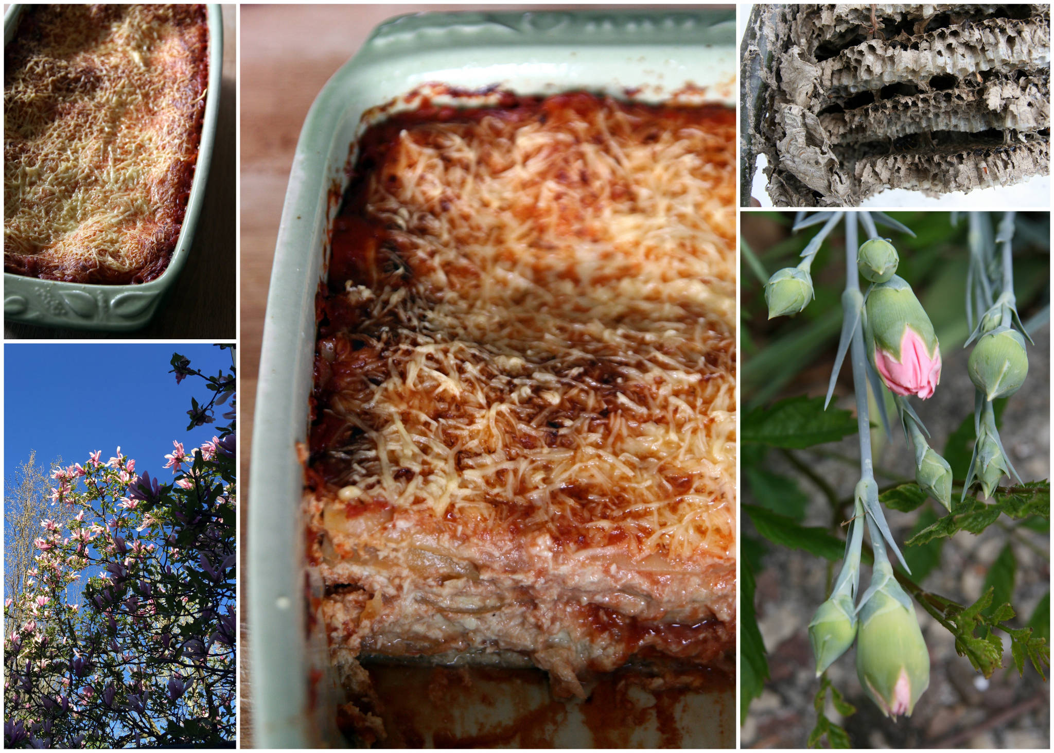 Lasagnes au poulet et curry