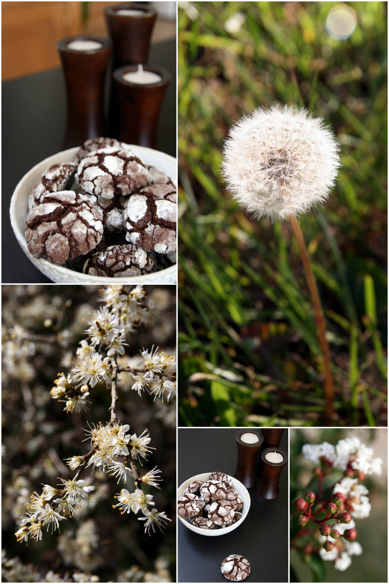 Crinkles au chocolat de Martha Stewart