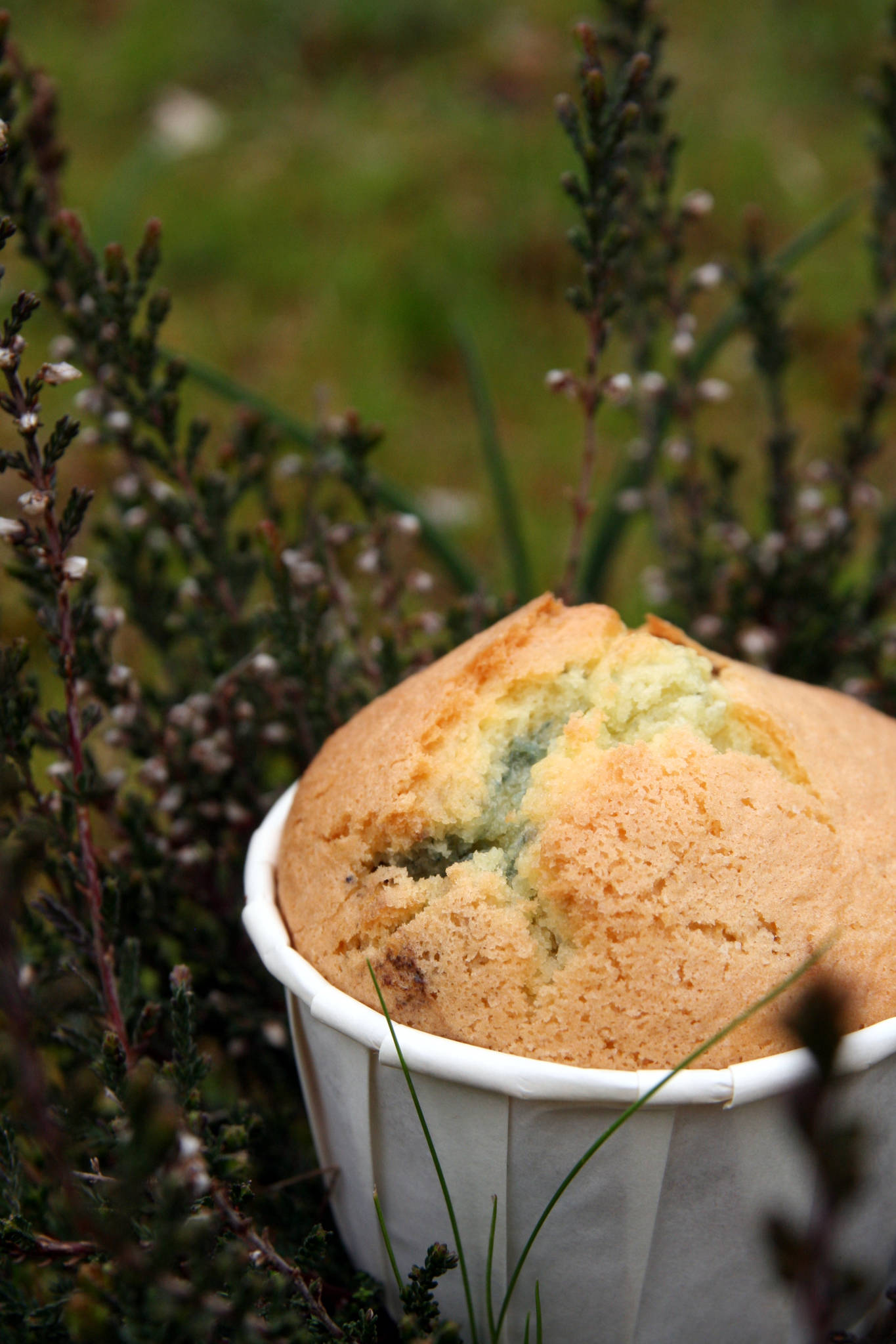 Muffins aux myrtilles