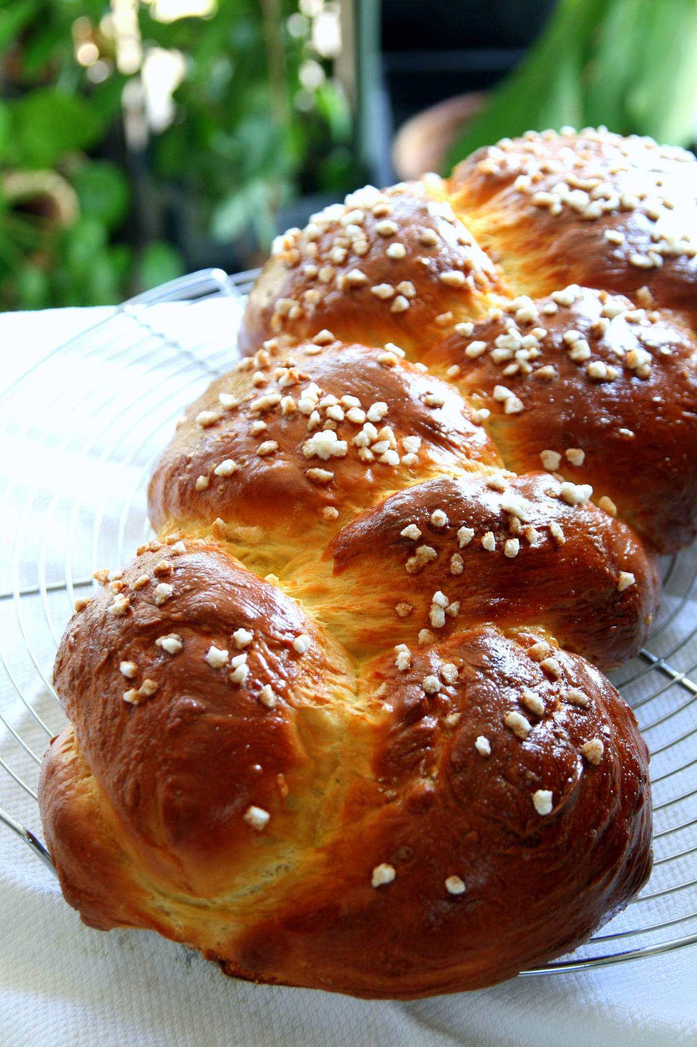 Recette Bricohe : Brioche Tressée à La Mie Filante