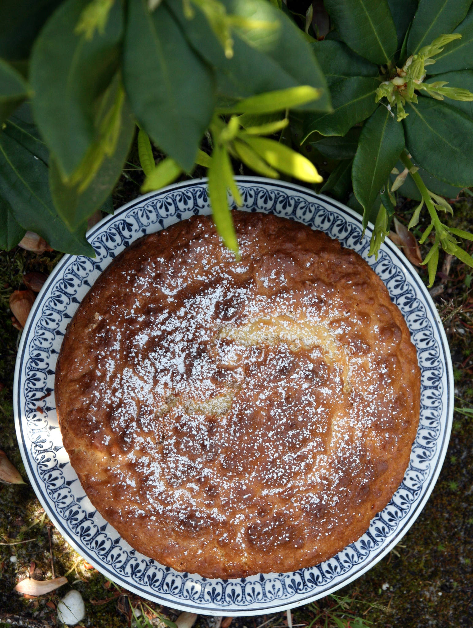 Gateau Sarde A La Ricotta