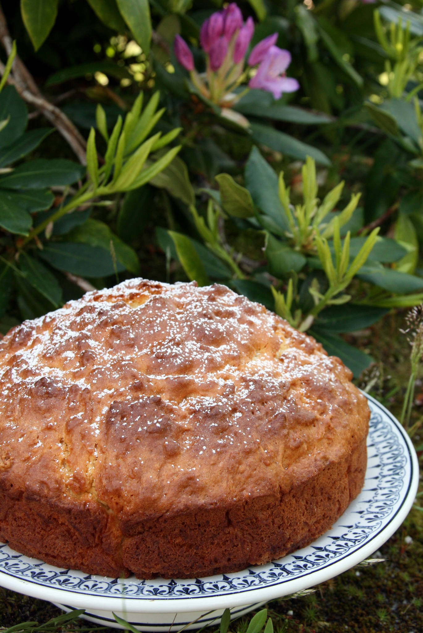 Gâteau sarde à la ricotta