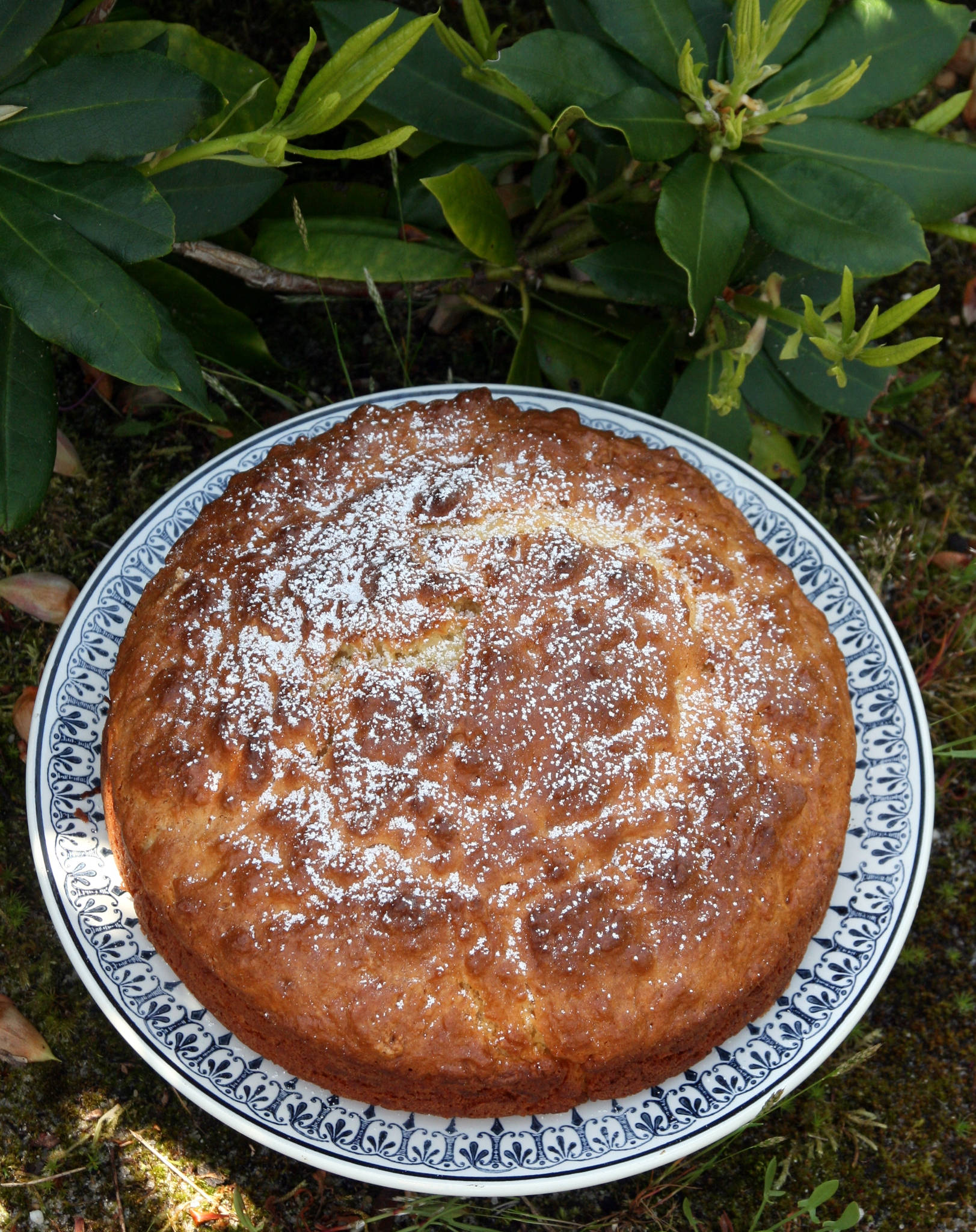 Gâteau sarde à la ricotta