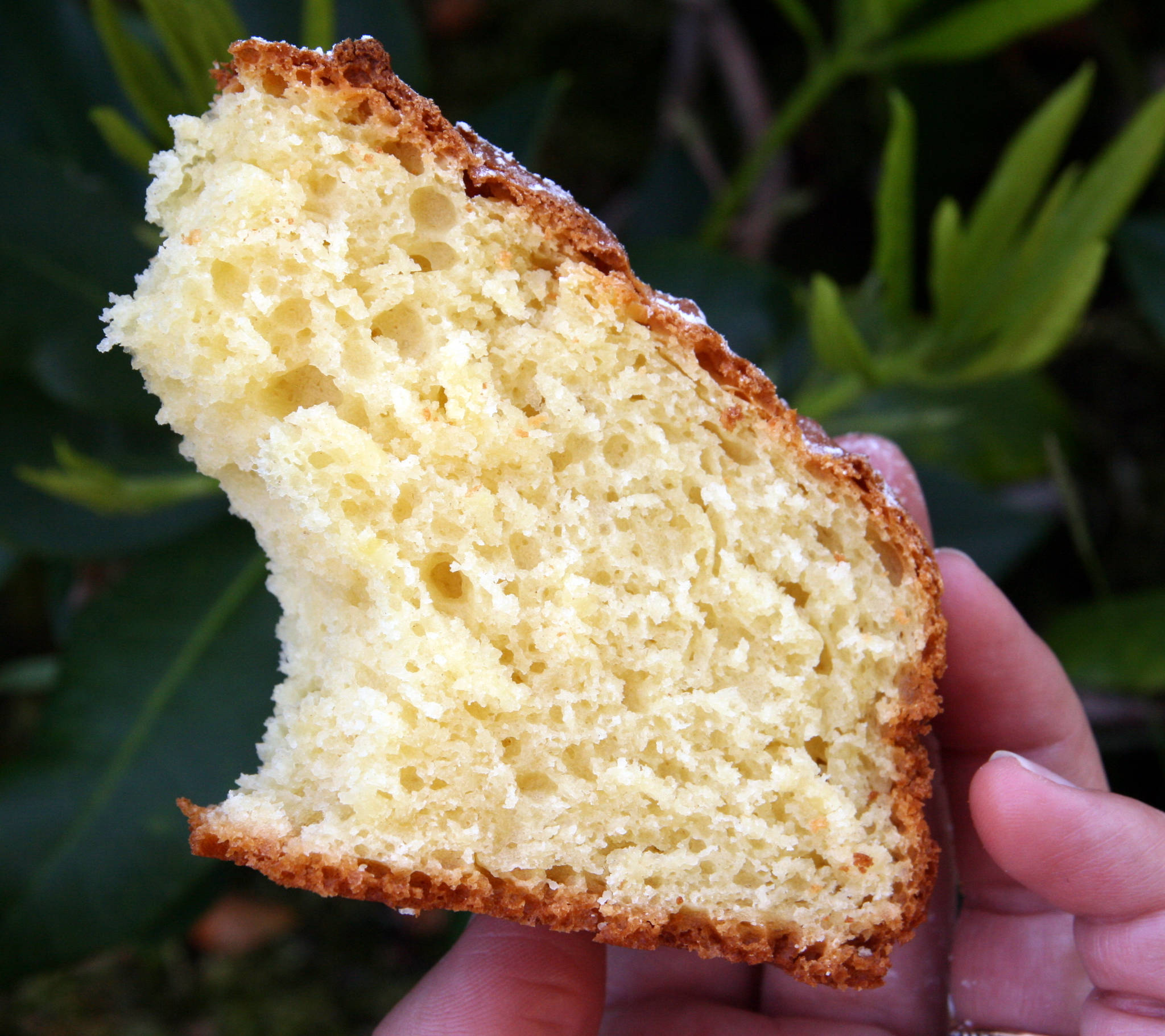 Gâteau sarde à la ricotta