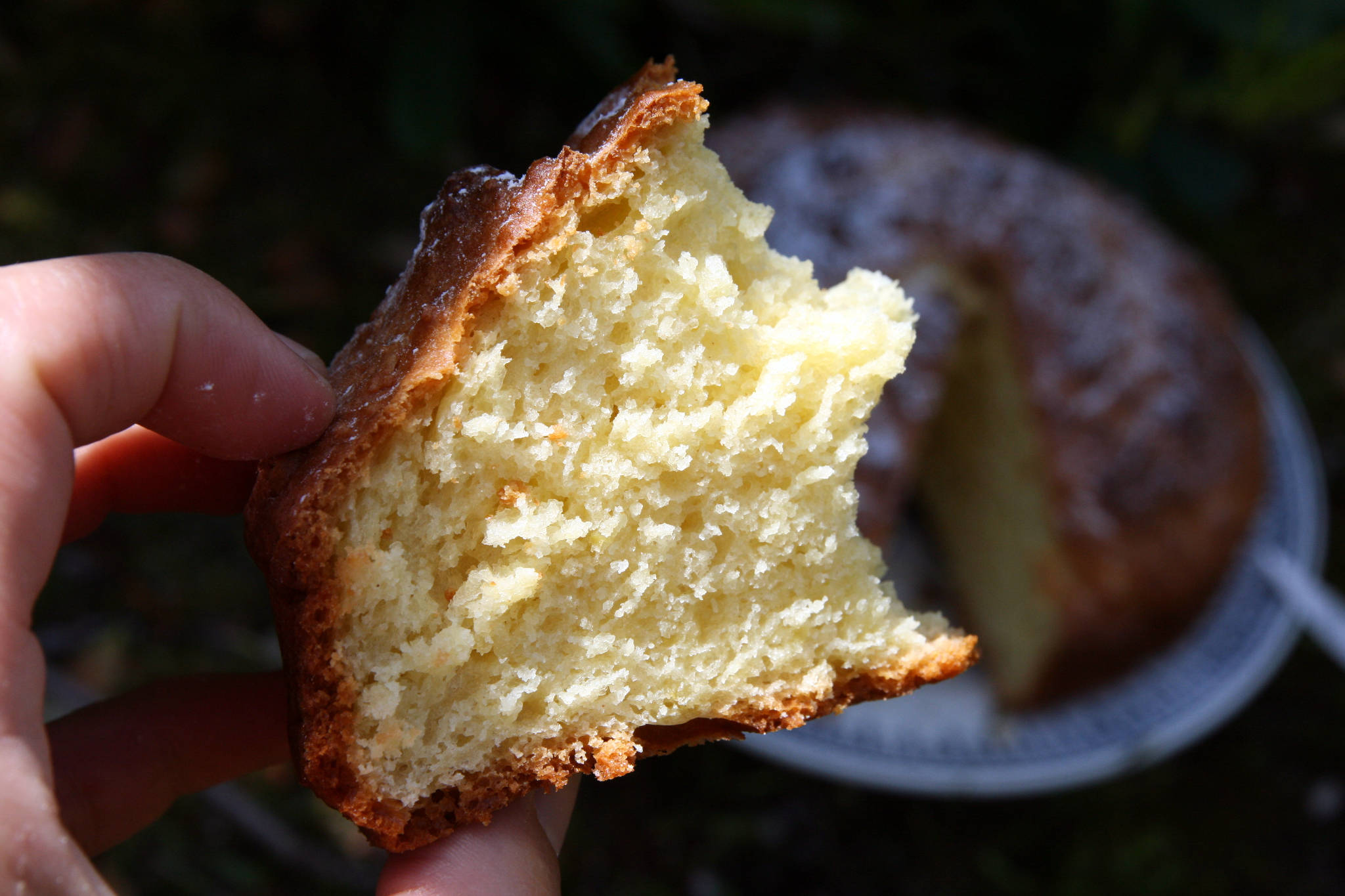 Gâteau sarde à la ricotta