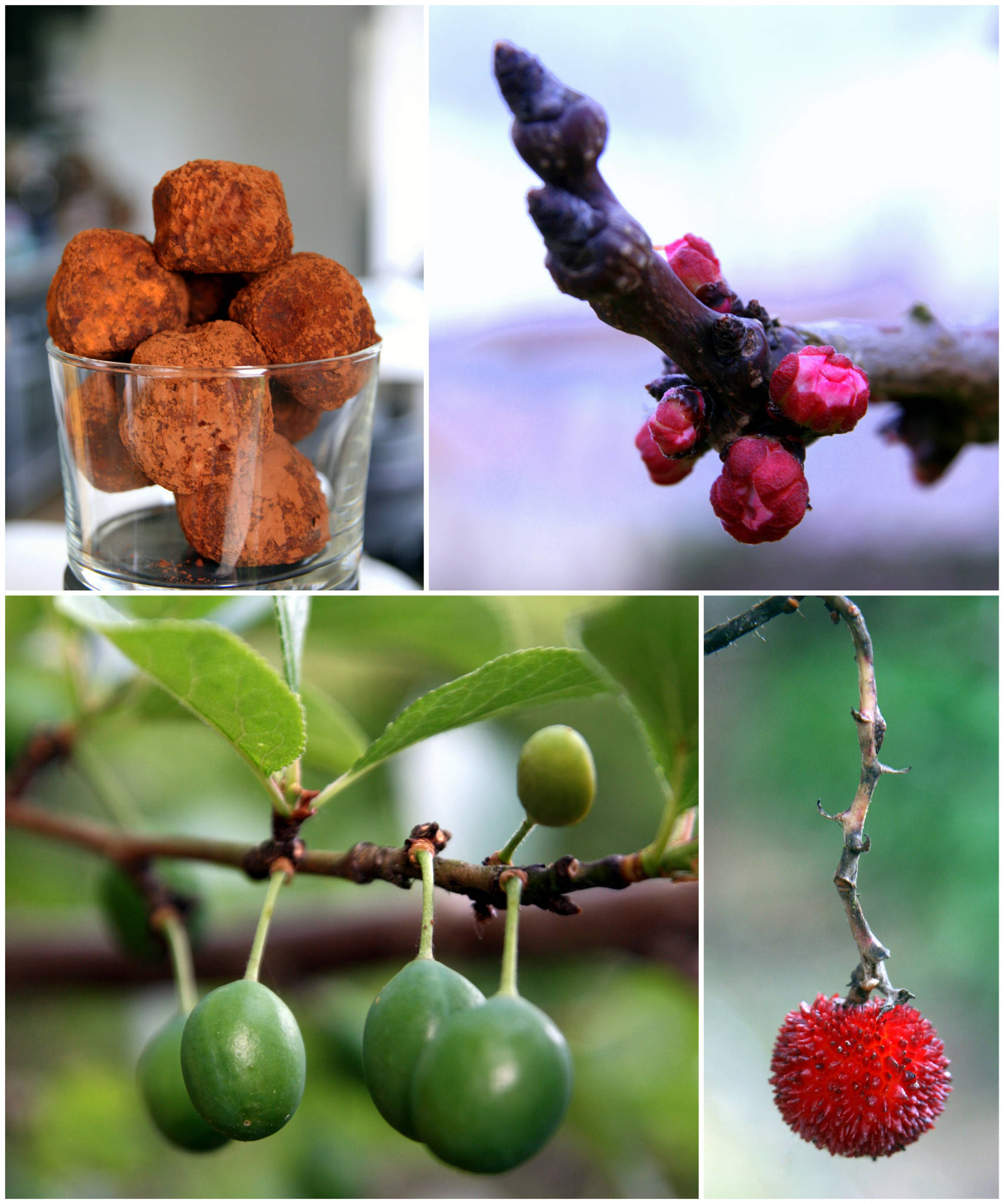 Tiramisu en boulettes