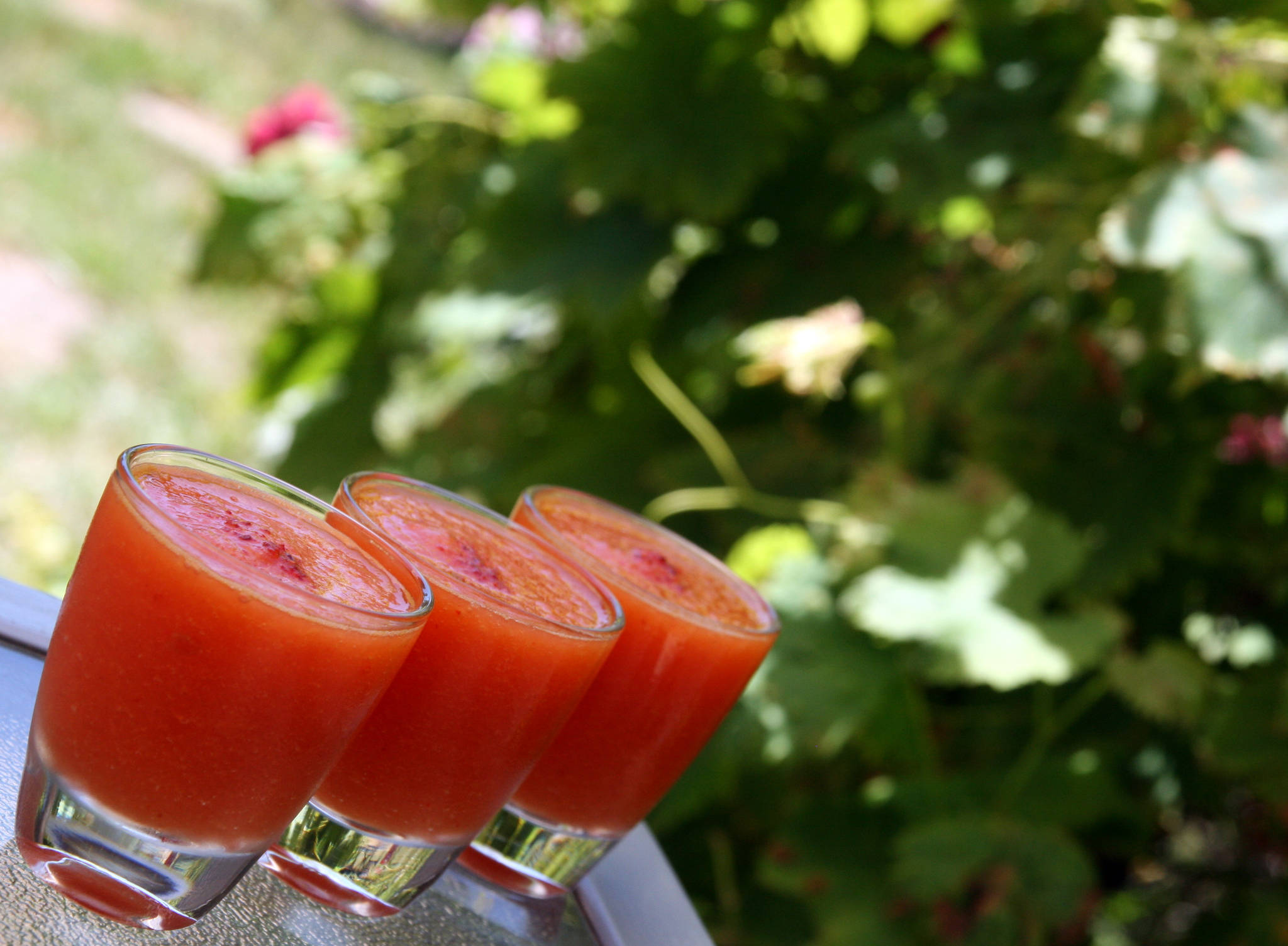 Soupe froide melon & pastèque, paprika fumé