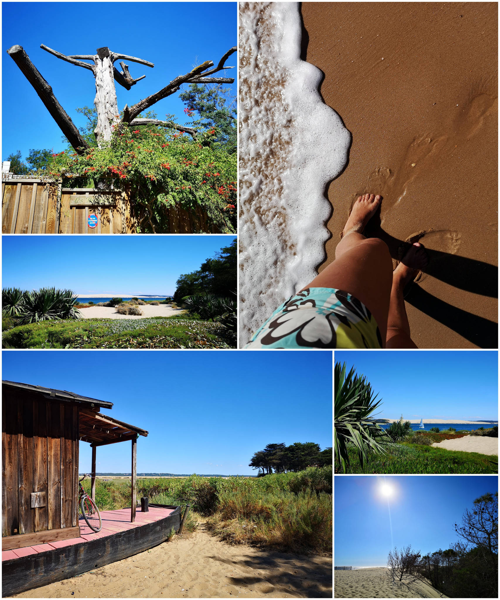 Le Bouchon du Ferret au Cap-Ferret (33)