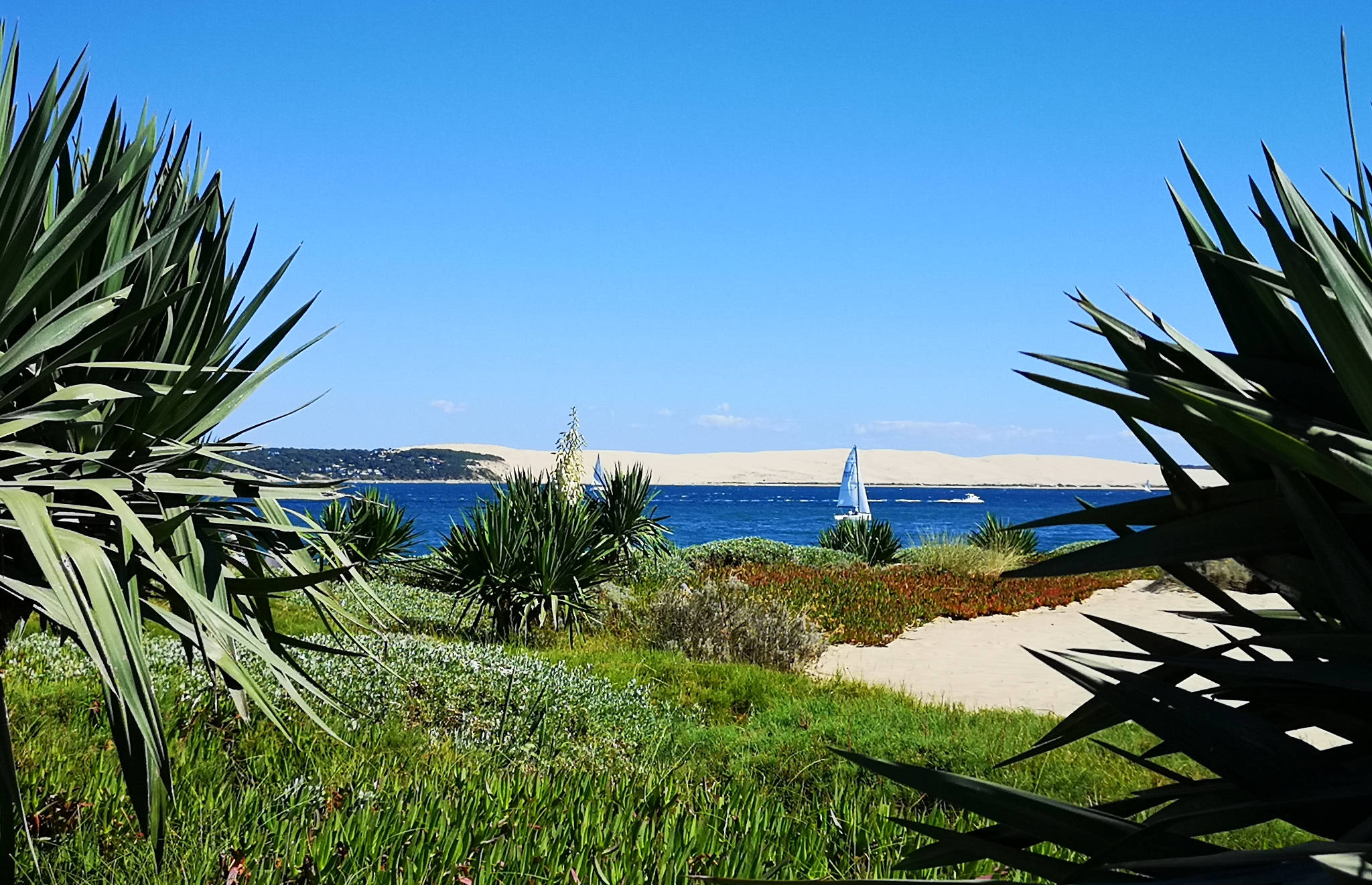 Le Bouchon du Ferret au Cap-Ferret (33)