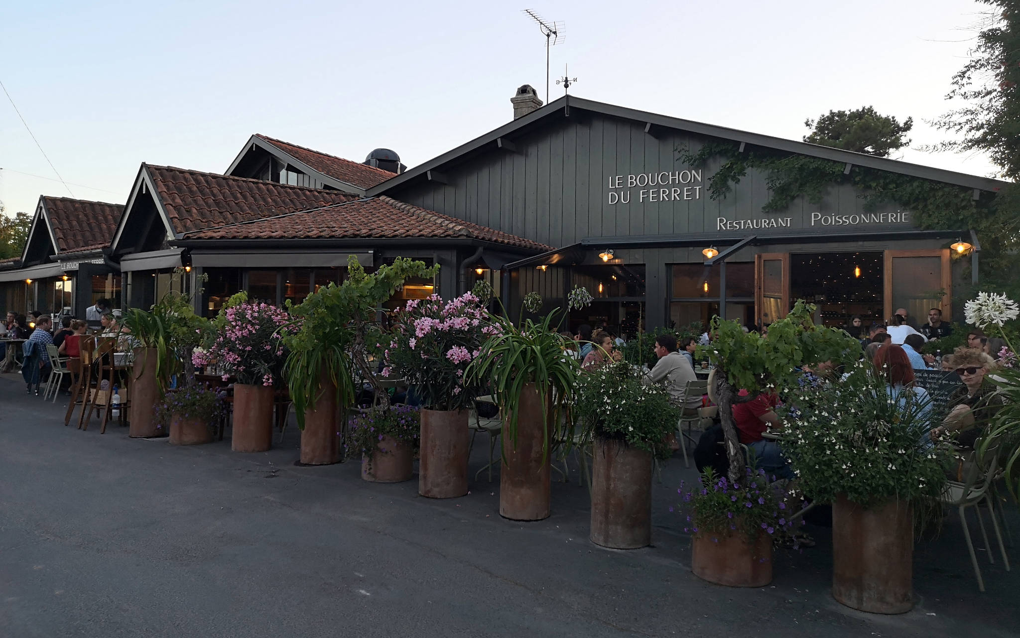 Le Bouchon du Ferret au Cap-Ferret (33)