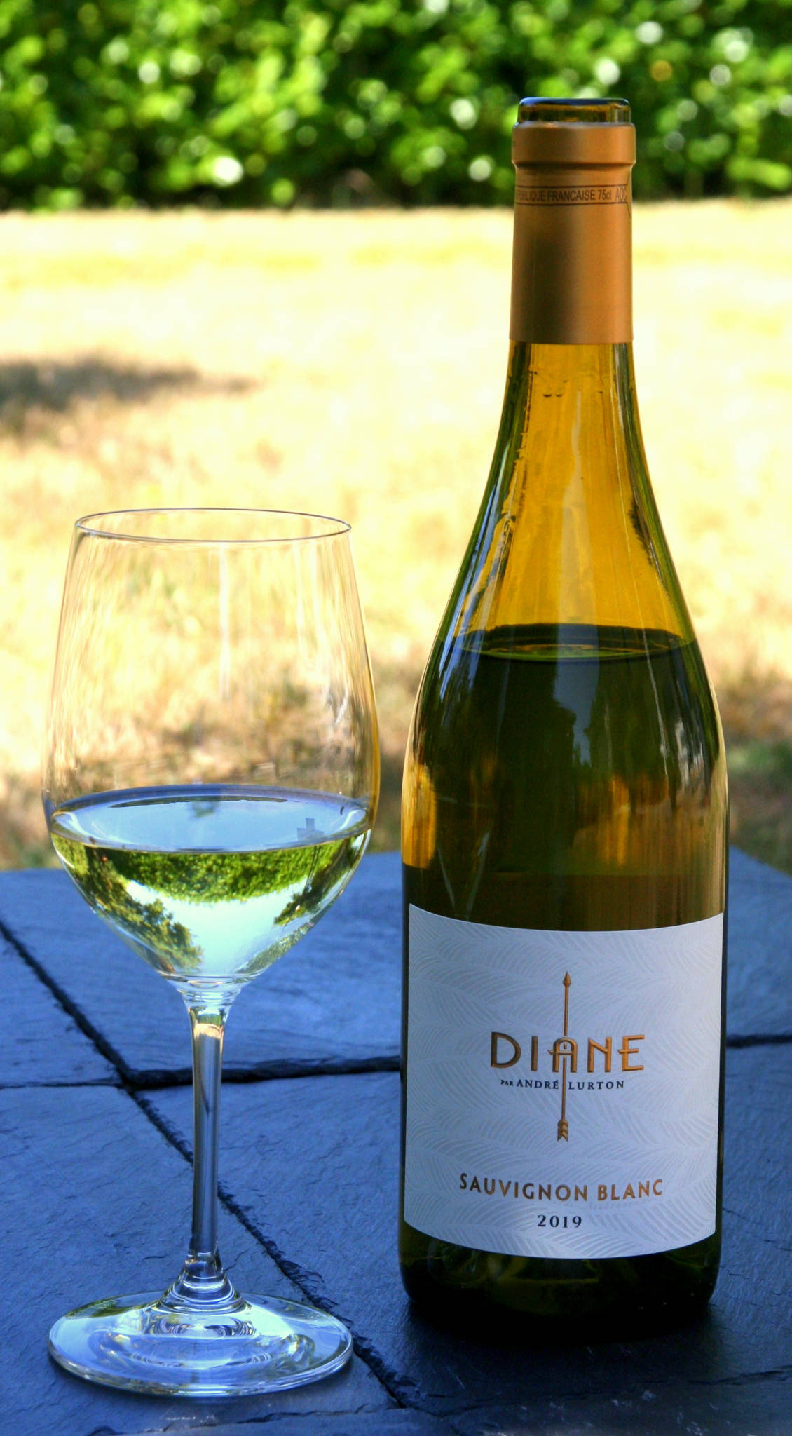 Maigre grillé au fromage d'herbe, Diane Sauvignon Blanc 2019