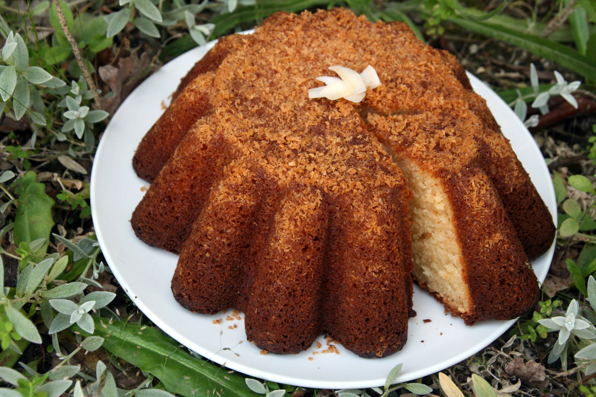 Gâteau au yaourt à la crème de coco sucrée