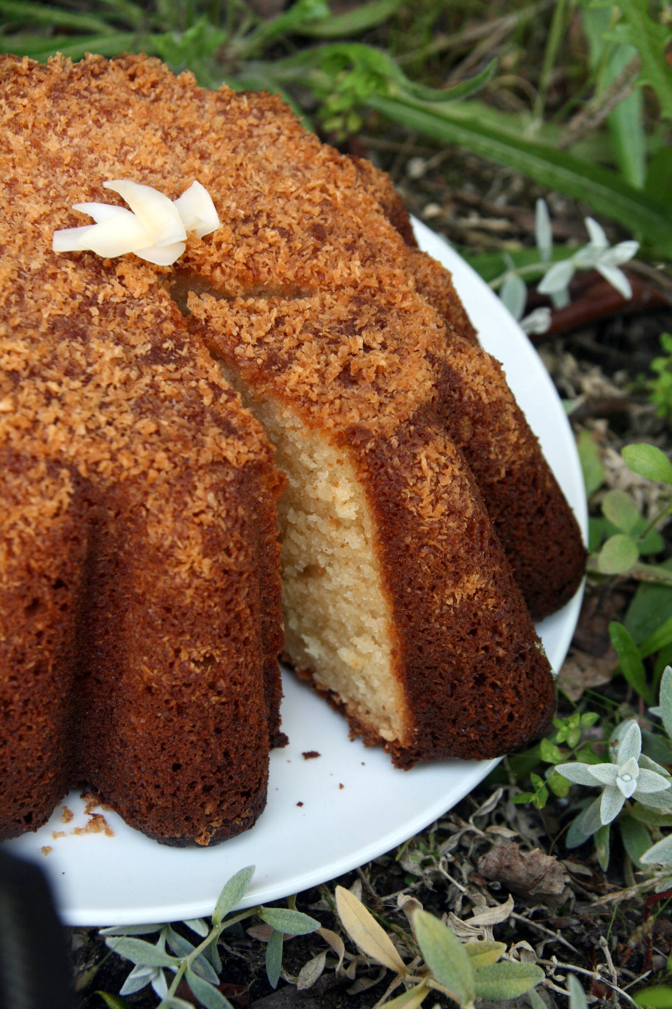 Gâteau au yaourt à la crème de coco sucrée