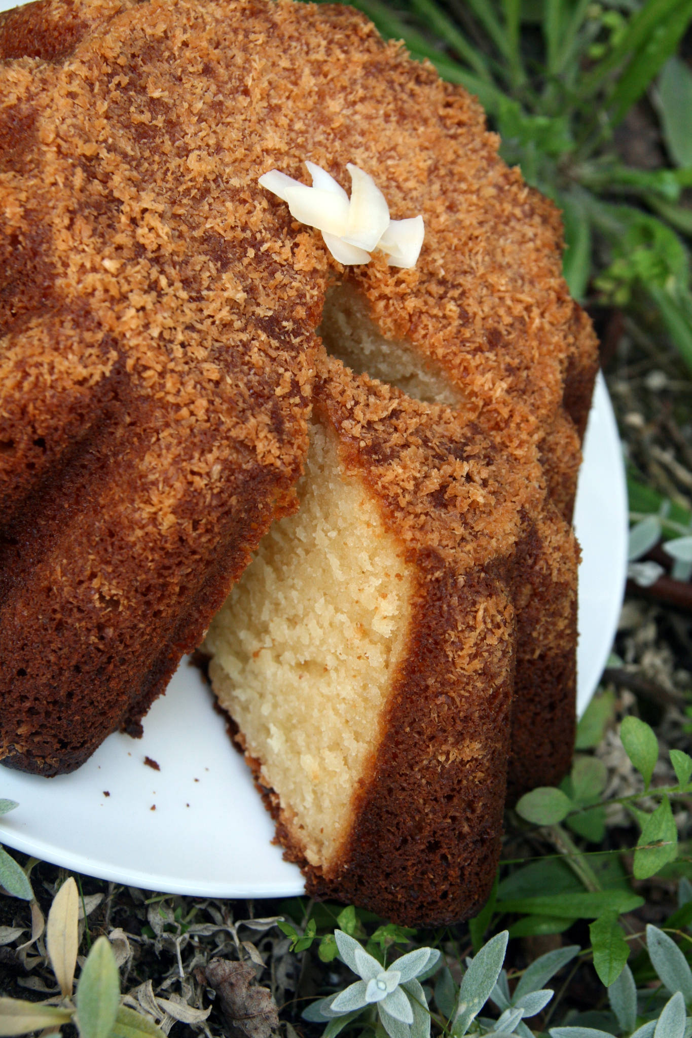 Gâteau au yaourt à la crème de coco sucrée