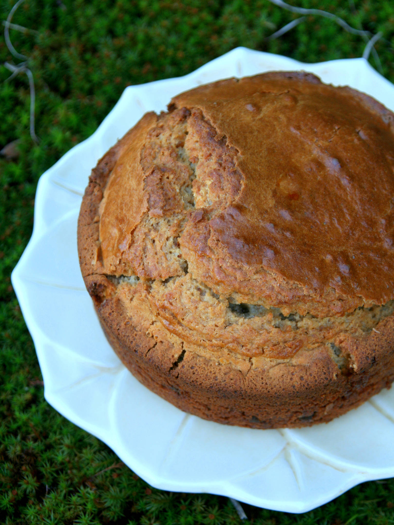 Gâteau au yaourt et à la crème de marrons