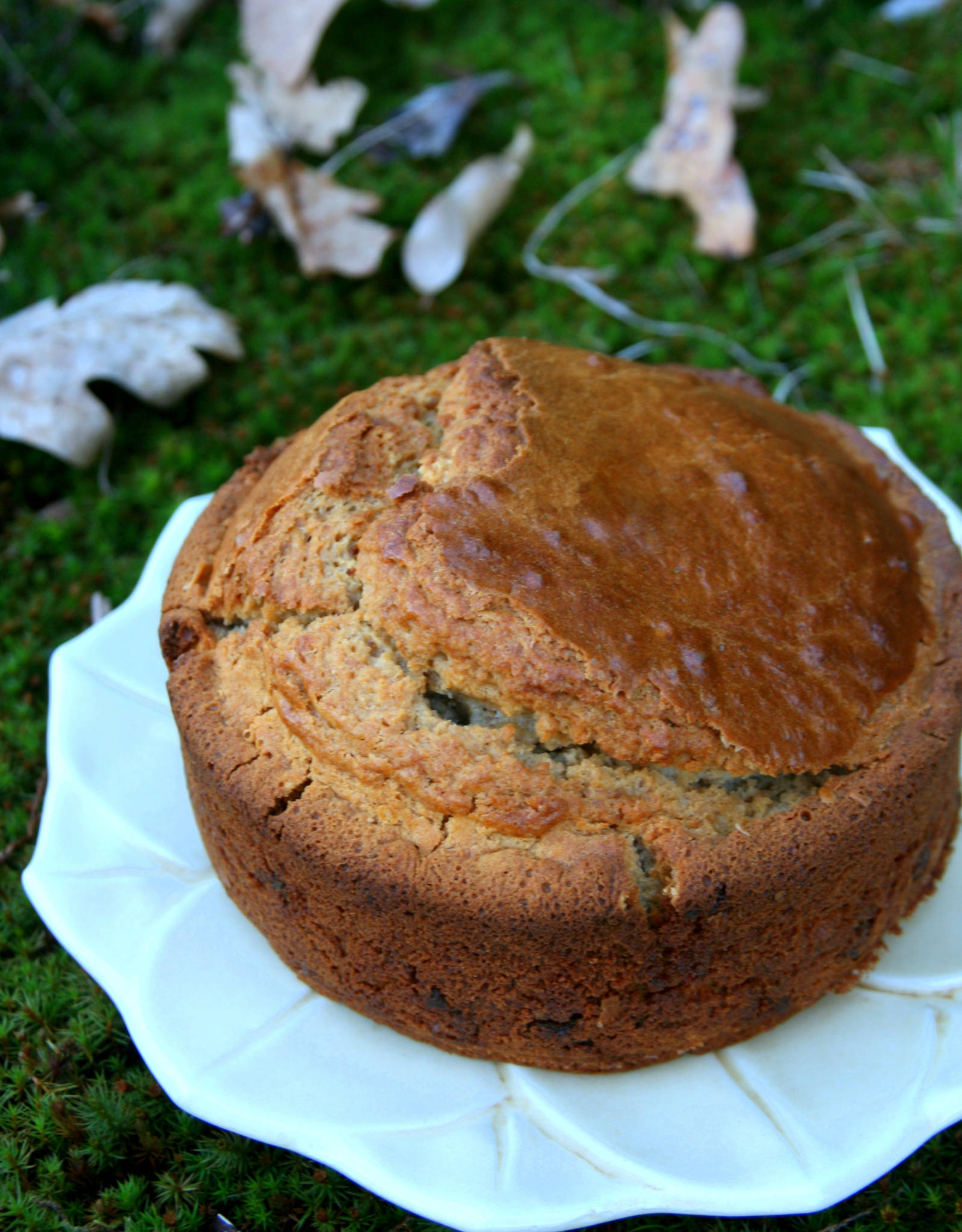 Gâteau au yaourt et à la crème de marrons