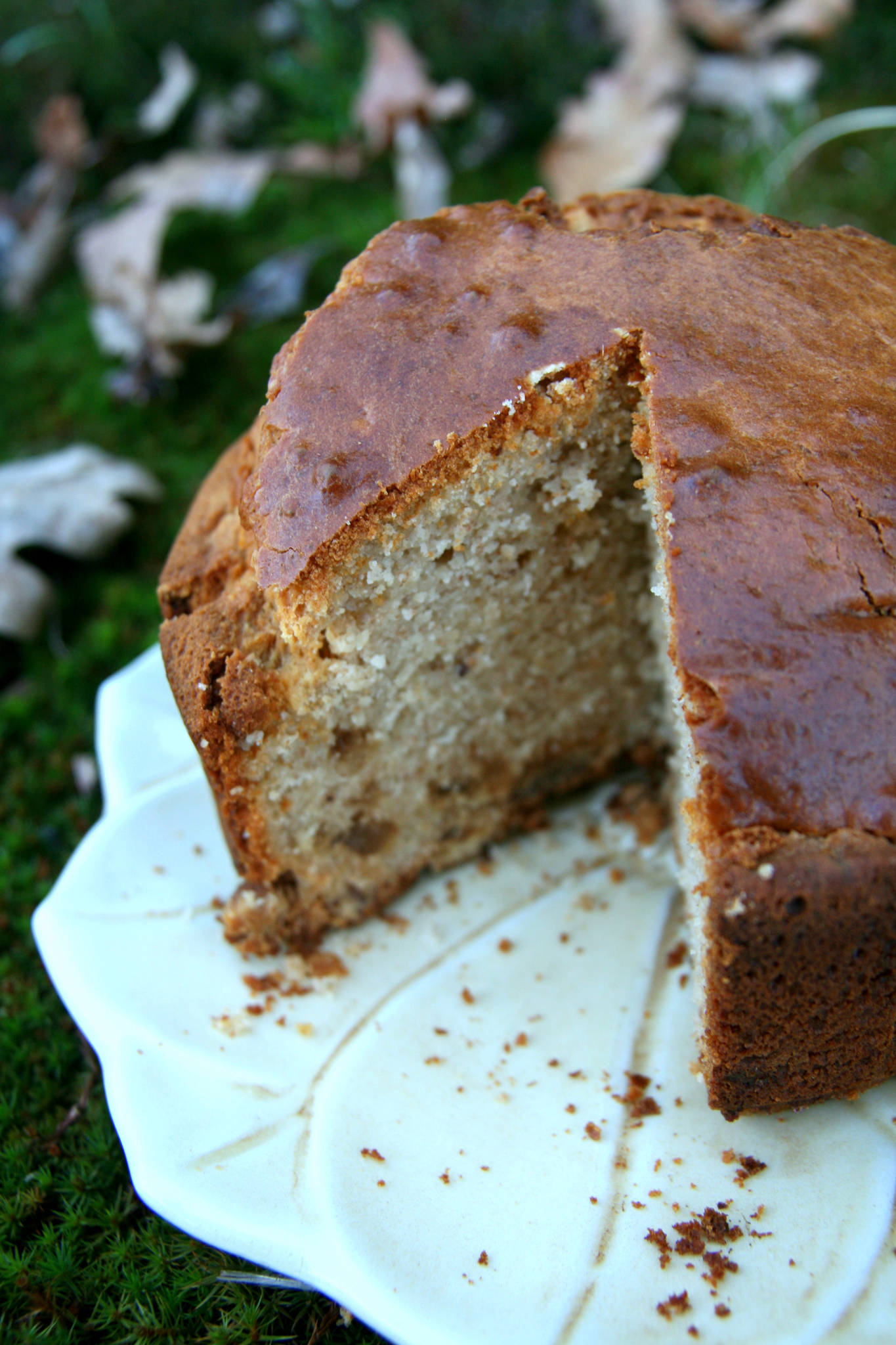 Gâteau au yaourt et à la crème de marrons