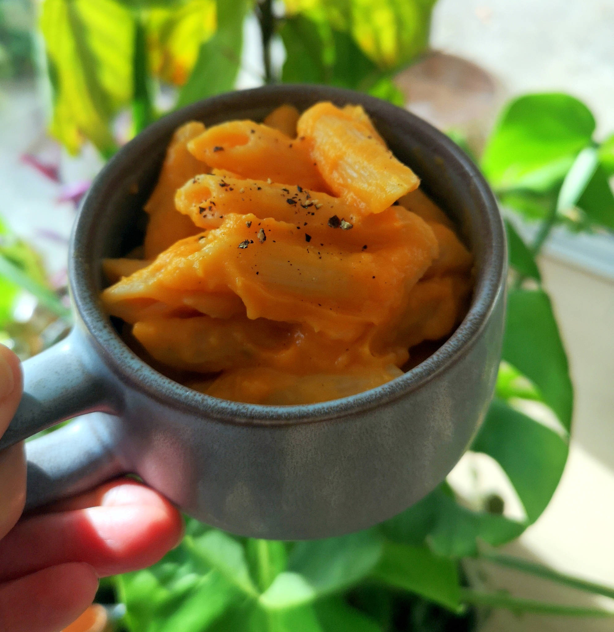 Penne sauce au butternut